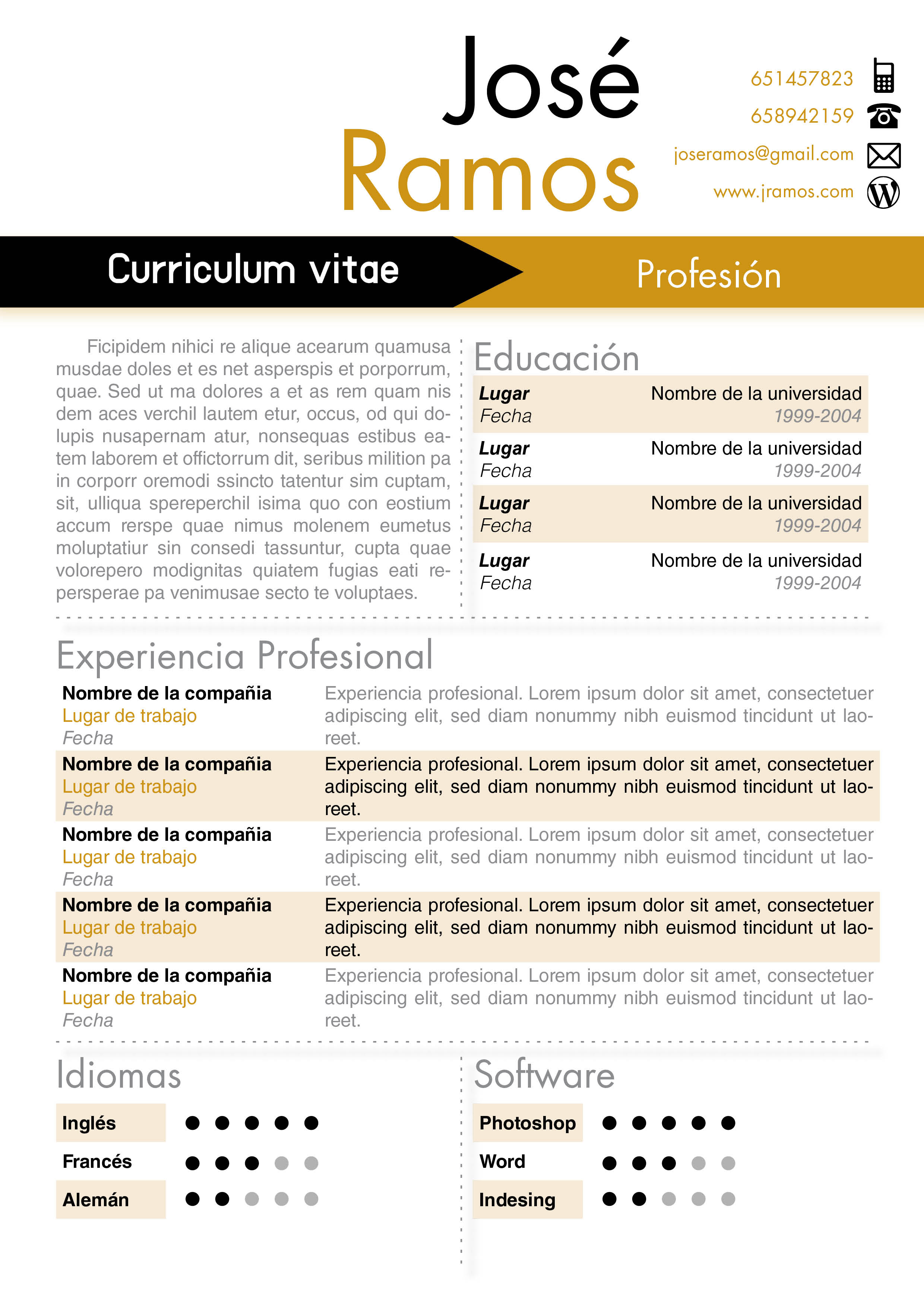 Curriculum Vitae Para Completar