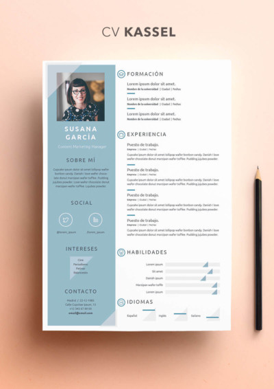 The Cv In Europe Resume Templates